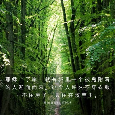 Picture 03 - 路 加 福 音 8:27 CUVS - 耶 稣 上 了 岸 ， 就 有 城 里 一 个 - Bible Verse Picture