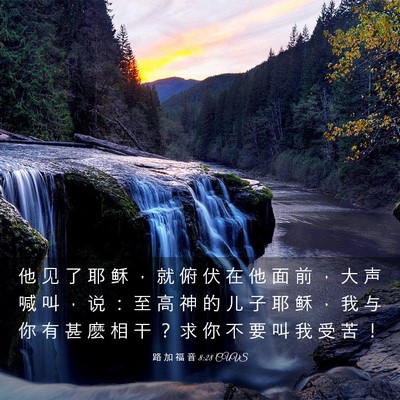 Picture 03 - 路 加 福 音 8:28 CUVS - 他 见 了 耶 稣 ， 就 俯 伏 在 他 面 - Bible Verse Picture