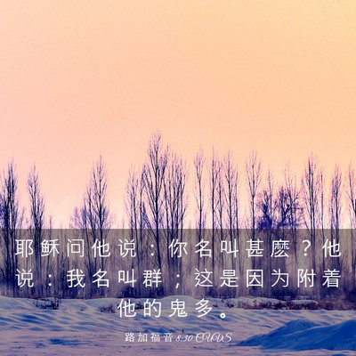 Picture 03 - 路 加 福 音 8:30 CUVS - 耶 稣 问 他 说 ： 你 名 叫 甚 麽 ？ - Bible Verse Picture