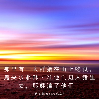 Picture 03 - 路 加 福 音 8:32 CUVS - 那 里 有 一 大 群 猪 在 山 上 吃 食 - Bible Verse Picture