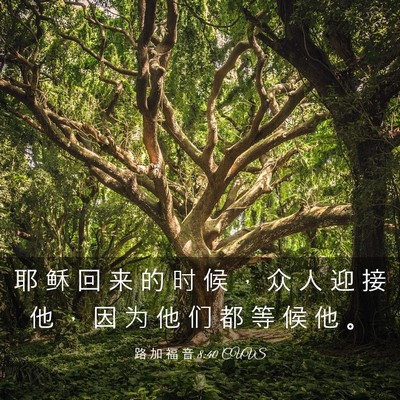 Picture 03 - 路 加 福 音 8:40 CUVS - 耶 稣 回 来 的 时 候 ， 众 人 迎 接 - Bible Verse Picture