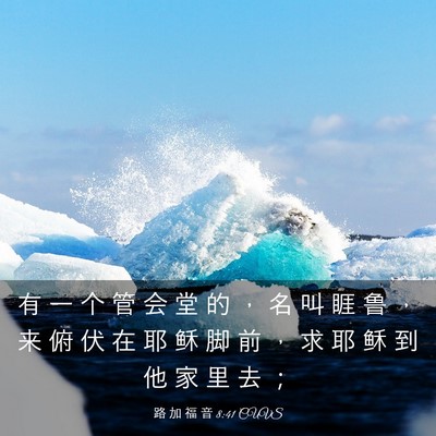Picture 03 - 路 加 福 音 8:41 CUVS - 有 一 个 管 会 堂 的 ， 名 叫 睚 鲁 - Bible Verse Picture