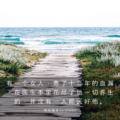 Picture 03 - 路 加 福 音 8:43 CUVS - 有 一 个 女 人 ， 患 了 十 二 年 的 - Bible Verse Picture