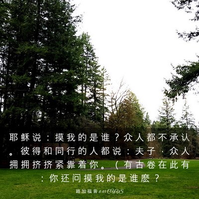 Picture 03 - 路 加 福 音 8:45 CUVS - 耶 稣 说 ： 摸 我 的 是 谁 ？ 众 人 - Bible Verse Picture