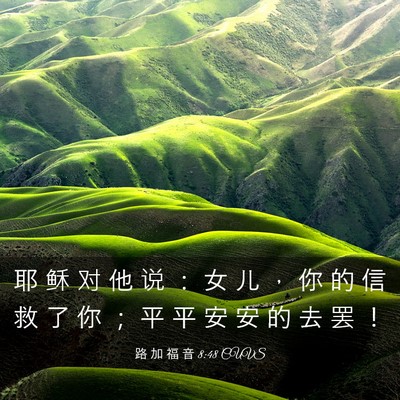 Picture 03 - 路 加 福 音 8:48 CUVS - 耶 稣 对 他 说 ： 女 儿 ， 你 的 信 - Bible Verse Picture