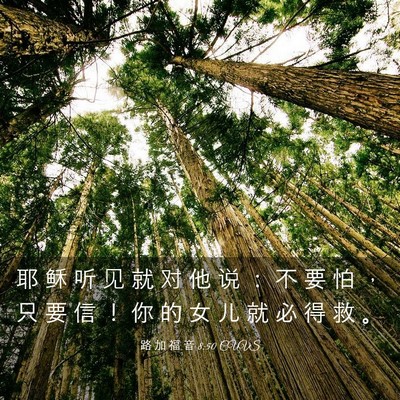 Picture 03 - 路 加 福 音 8:50 CUVS - 耶 稣 听 见 就 对 他 说 ： 不 要 怕 - Bible Verse Picture