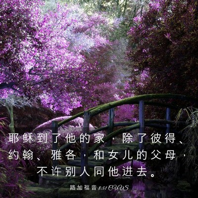 Picture 03 - 路 加 福 音 8:51 CUVS - 耶 稣 到 了 他 的 家 ， 除 了 彼 得 - Bible Verse Picture