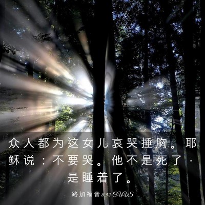 Picture 03 - 路 加 福 音 8:52 CUVS - 众 人 都 为 这 女 儿 哀 哭 捶 胸 。 - Bible Verse Picture