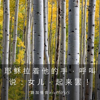 Picture 03 - 路 加 福 音 8:54 CUVS - 耶 稣 拉 着 他 的 手 ， 呼 叫 说 ： - Bible Verse Picture