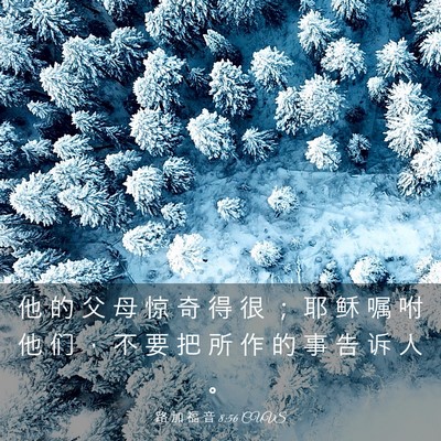 Picture 03 - 路 加 福 音 8:56 CUVS - 他 的 父 母 惊 奇 得 很 ； 耶 稣 嘱 - Bible Verse Picture