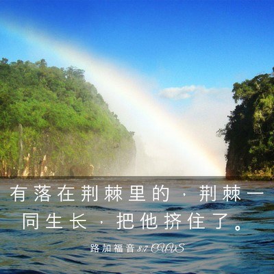 Picture 03 - 路 加 福 音 8:7 CUVS - 有 落 在 荆 棘 里 的 ， 荆 棘 一 同 - Bible Verse Picture