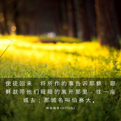 Picture 03 - 路 加 福 音 9:10 CUVS - 使 徒 回 来 ， 将 所 作 的 事 告 诉 - Bible Verse Picture
