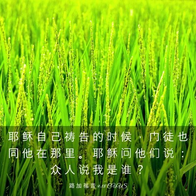 Picture 03 - 路 加 福 音 9:18 CUVS - 耶 稣 自 己 祷 告 的 时 候 ， 门 徒 - Bible Verse Picture