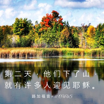 Picture 03 - 路 加 福 音 9:37 CUVS - 第 二 天 ， 他 们 下 了 山 ， 就 有 - Bible Verse Picture