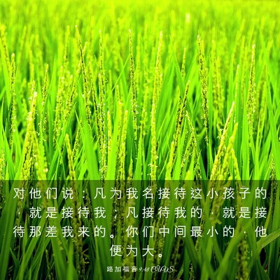 Picture 03 - 路 加 福 音 9:48 CUVS - 对 他 们 说 ： 凡 为 我 名 接 待 这 - Bible Verse Picture