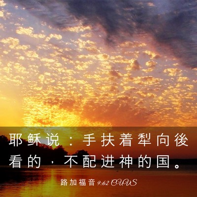 Picture 03 - 路 加 福 音 9:62 CUVS - 耶 稣 说 ： 手 扶 着 犁 向 後 看 的 - Bible Verse Picture