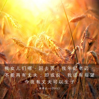 Picture 03 - 路 得 记 1:12 CUVS - 我 女 儿 们 哪 ， 回 去 罢 ！ 我 年 - Bible Verse Picture