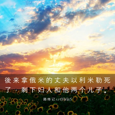 Picture 03 - 路 得 记 1:3 CUVS - 後 来 拿 俄 米 的 丈 夫 以 利 米 勒 - Bible Verse Picture