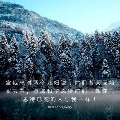 Picture 03 - 路 得 记 1:8 CUVS - 拿 俄 米 对 两 个 儿 妇 说 ： 你 们 - Bible Verse Picture