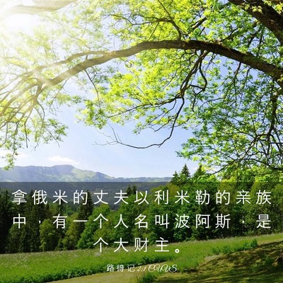 Picture 03 - 路 得 记 2:1 CUVS - 拿 俄 米 的 丈 夫 以 利 米 勒 的 亲 - Bible Verse Picture