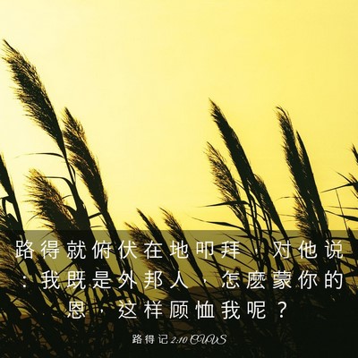 Picture 03 - 路 得 记 2:10 CUVS - 路 得 就 俯 伏 在 地 叩 拜 ， 对 他 - Bible Verse Picture