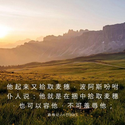 Picture 03 - 路 得 记 2:15 CUVS - 他 起 来 又 拾 取 麦 穗 ， 波 阿 斯 - Bible Verse Picture