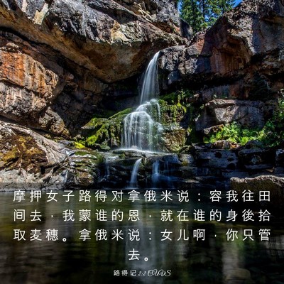 Picture 03 - 路 得 记 2:2 CUVS - 摩 押 女 子 路 得 对 拿 俄 米 说 ： - Bible Verse Picture