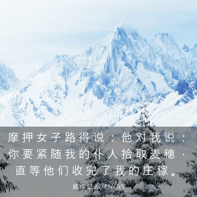 Picture 03 - 路 得 记 2:21 CUVS - 摩 押 女 子 路 得 说 ： 他 对 我 说 - Bible Verse Picture