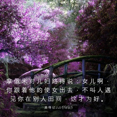 Picture 03 - 路 得 记 2:22 CUVS - 拿 俄 米 对 儿 妇 路 得 说 ： 女 儿 - Bible Verse Picture