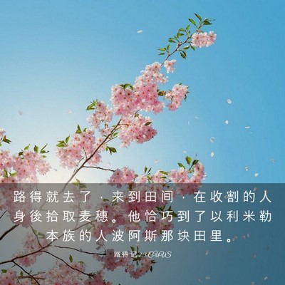 Picture 03 - 路 得 记 2:3 CUVS - 路 得 就 去 了 ， 来 到 田 间 ， 在 - Bible Verse Picture