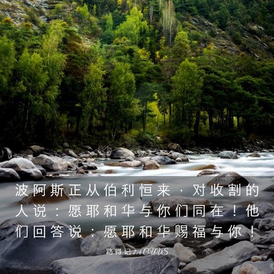 Picture 03 - 路 得 记 2:4 CUVS - 波 阿 斯 正 从 伯 利 恒 来 ， 对 收 - Bible Verse Picture