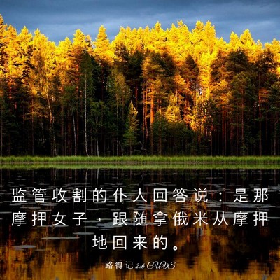Picture 03 - 路 得 记 2:6 CUVS - 监 管 收 割 的 仆 人 回 答 说 ： 是 - Bible Verse Picture
