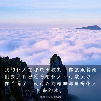 Picture 03 - 路 得 记 2:9 CUVS - 我 的 仆 人 在 那 块 田 收 割 ， 你 - Bible Verse Picture