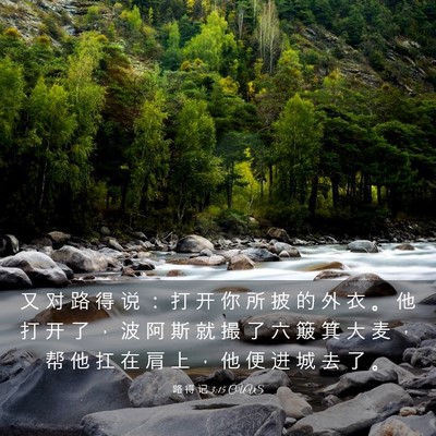 Picture 03 - 路 得 记 3:15 CUVS - 又 对 路 得 说 ： 打 开 你 所 披 的 - Bible Verse Picture