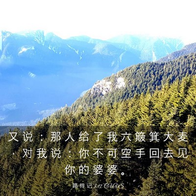 Picture 03 - 路 得 记 3:17 CUVS - 又 说 ： 那 人 给 了 我 六 簸 箕 大 - Bible Verse Picture