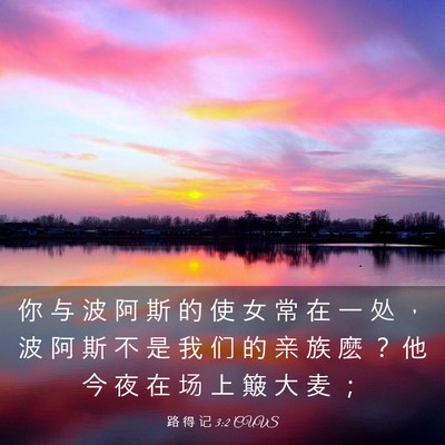 Picture 03 - 路 得 记 3:2 CUVS - 你 与 波 阿 斯 的 使 女 常 在 一 处 - Bible Verse Picture