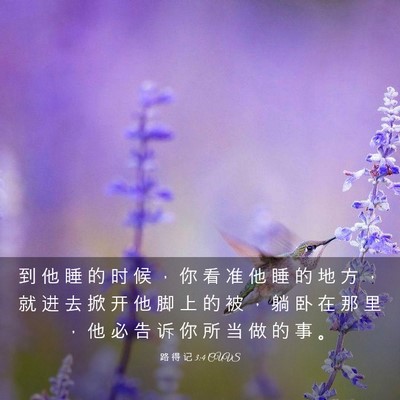 Picture 03 - 路 得 记 3:4 CUVS - 到 他 睡 的 时 候 ， 你 看 准 他 睡 - Bible Verse Picture