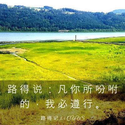 Picture 03 - 路 得 记 3:5 CUVS - 路 得 说 ： 凡 你 所 吩 咐 的 ， 我 - Bible Verse Picture
