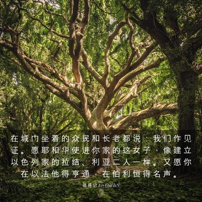 Picture 03 - 路 得 记 4:11 CUVS - 在 城 门 坐 着 的 众 民 和 长 老 都 - Bible Verse Picture