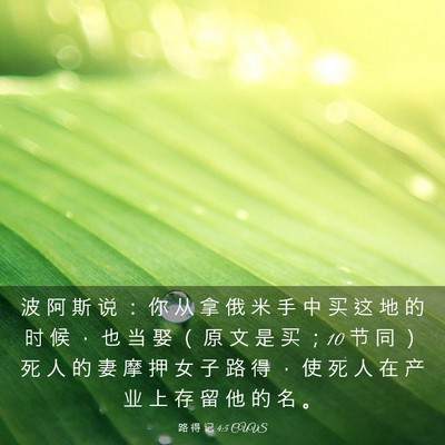 Picture 03 - 路 得 记 4:5 CUVS - 波 阿 斯 说 ： 你 从 拿 俄 米 手 中 - Bible Verse Picture