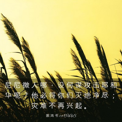 Picture 03 - 那 鸿 书 1:9 CUVS - 尼 尼 微 人 哪 ， 设 何 谋 攻 击 耶 - Bible Verse Picture