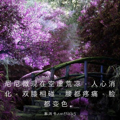 Picture 03 - 那 鸿 书 2:10 CUVS - 尼 尼 微 现 在 空 虚 荒 凉 ， 人 心 - Bible Verse Picture