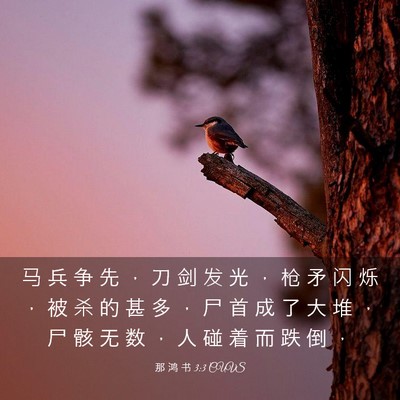 Picture 03 - 那 鸿 书 3:3 CUVS - 马 兵 争 先 ， 刀 剑 发 光 ， 枪 矛 - Bible Verse Picture