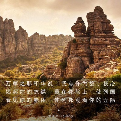 Picture 03 - 那 鸿 书 3:5 CUVS - 万 军 之 耶 和 华 说 ： 我 与 你 为 - Bible Verse Picture