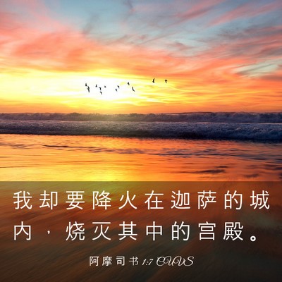 Picture 03 - 阿 摩 司 书 1:7 CUVS - 我 却 要 降 火 在 迦 萨 的 城 内 ， - Bible Verse Picture