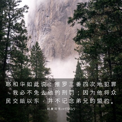 Picture 03 - 阿 摩 司 书 1:9 CUVS - 耶 和 华 如 此 说 ： 推 罗 三 番 四 - Bible Verse Picture
