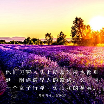 Picture 03 - 阿 摩 司 书 2:7 CUVS - 他 们 见 穷 人 头 上 所 蒙 的 灰 也 - Bible Verse Picture