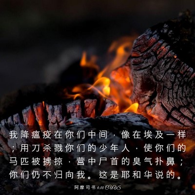 Picture 03 - 阿 摩 司 书 4:10 CUVS - 我 降 瘟 疫 在 你 们 中 间 ， 像 在 - Bible Verse Picture