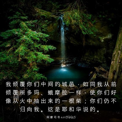 Picture 03 - 阿 摩 司 书 4:11 CUVS - 我 倾 覆 你 们 中 间 的 城 邑 ， 如 - Bible Verse Picture