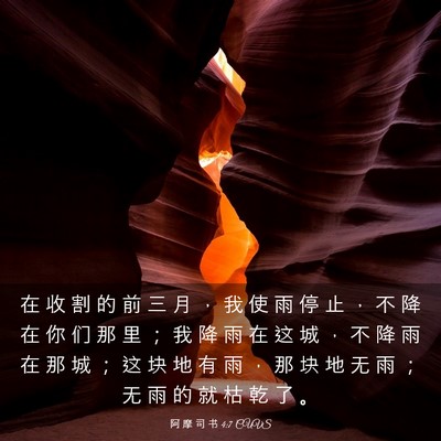 Picture 03 - 阿 摩 司 书 4:7 CUVS - 在 收 割 的 前 三 月 ， 我 使 雨 停 - Bible Verse Picture